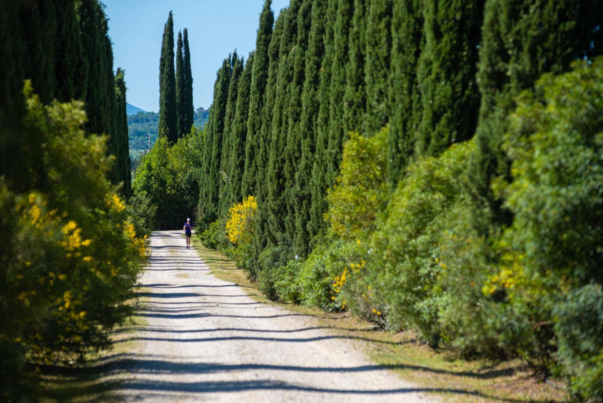 Tenuta Il Cicalino Massa Marittima Dış mekan fotoğraf